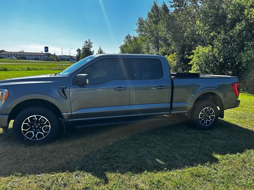 Used 2023 Ford F-150 XLT with VIN 1FTFW1E54PFB69724 for sale in International Falls, Minnesota